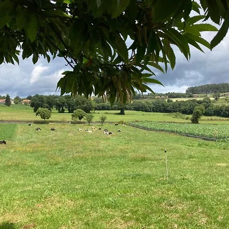 Ferienhaus Casa O Pazo - Rural - Camino Norte -