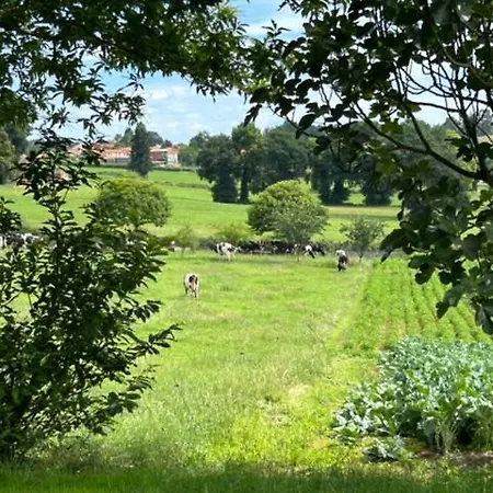 Casa O Pazo - Rural - Camino Norte - Boimorto (A Coruna)