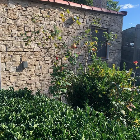 Casa O Pazo - Rural - Camino Norte - Ferienhaus Boimorto (A Coruna)