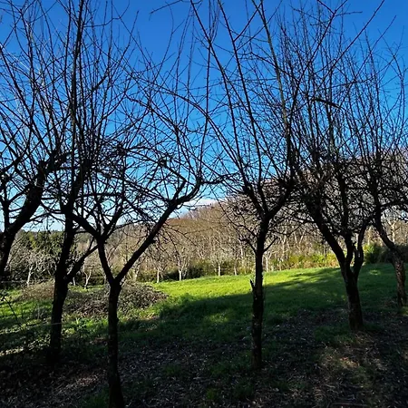 Casa O Pazo - Rural - Camino Norte - 別荘 Boimorto