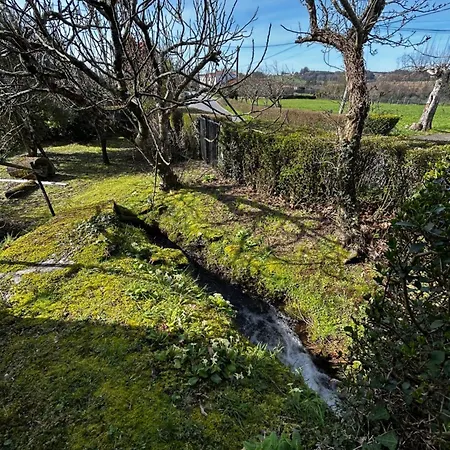 別荘 Casa O Pazo - Rural - Camino Norte - *