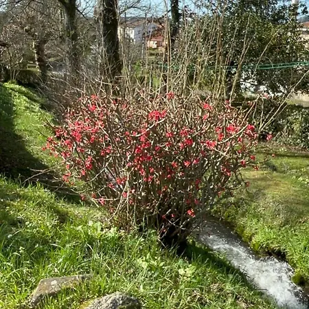 別荘 Casa O Pazo - Rural - Camino Norte - *