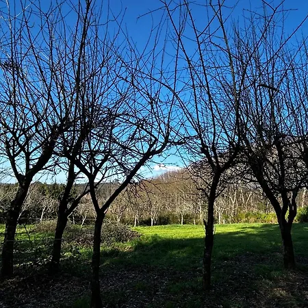 Casa O Pazo - Rural - Camino Norte - * Boimorto (A Coruna)