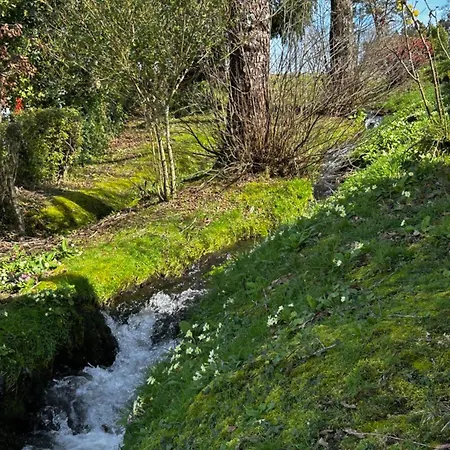 別荘 Casa O Pazo - Rural - Camino Norte - Boimorto