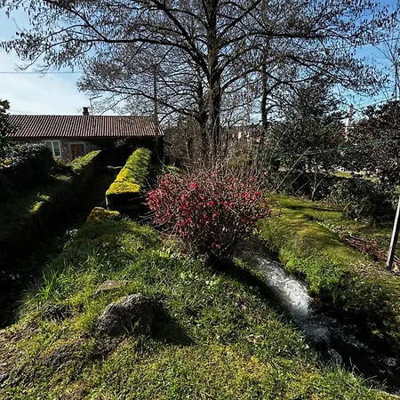 Casa O Pazo - Rural - Camino Norte - *
